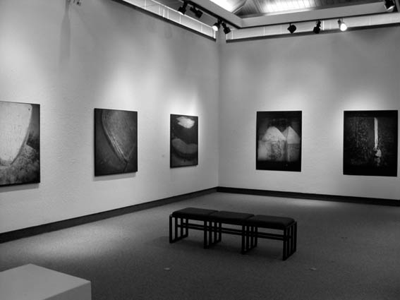 Installation View College of the Mainland