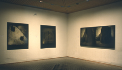 Installation McNay Art Museum