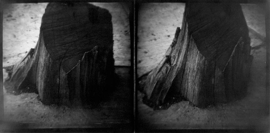 1993 Oaxaca Stumps