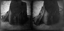 1993 Oaxaca Stumps