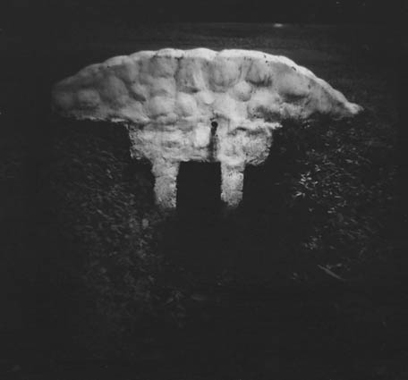 2009 El Valle Puente