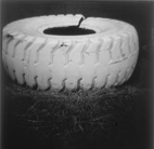 2004 Tire Legs
